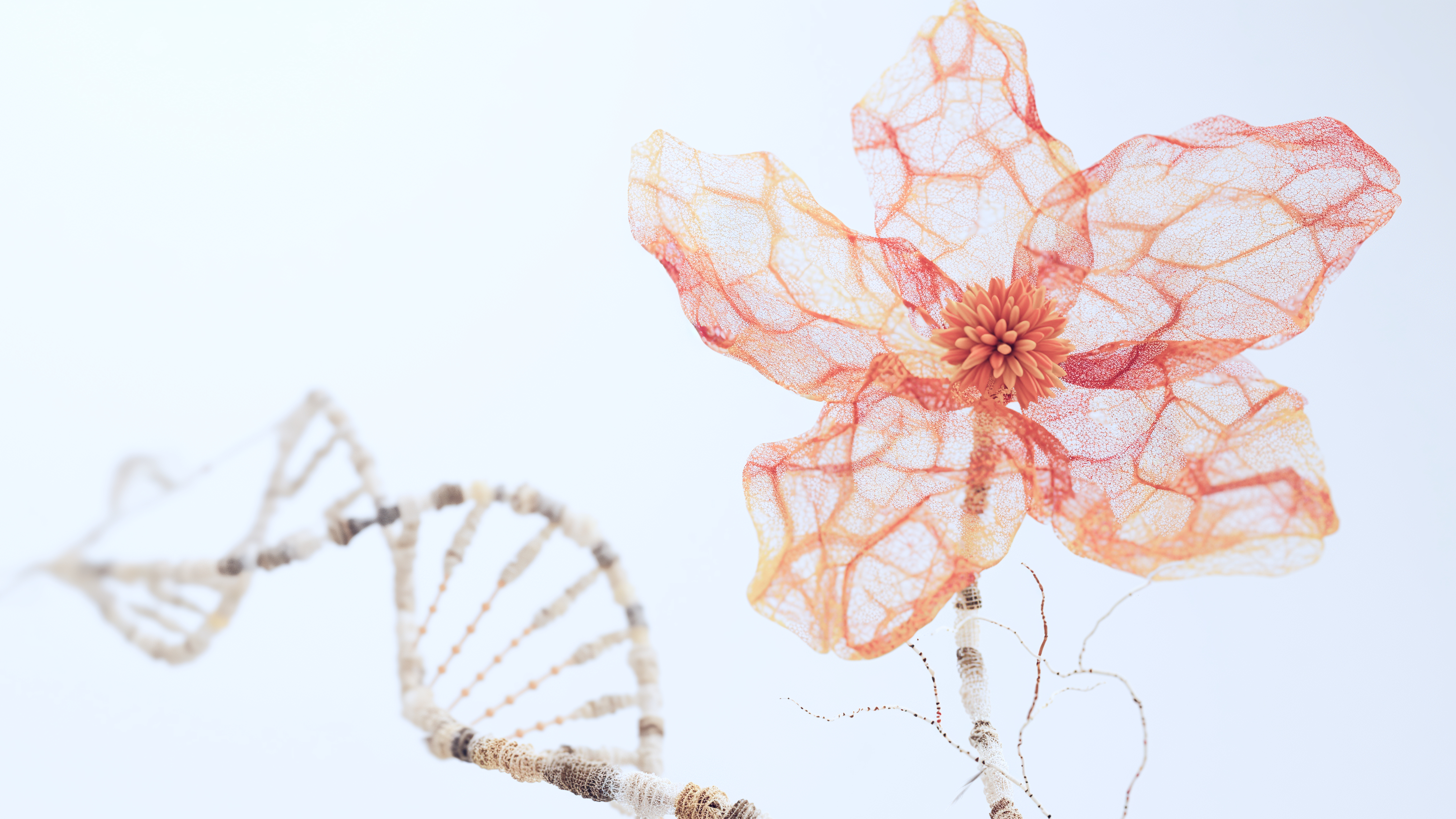 DNA helix beside a delicate flower